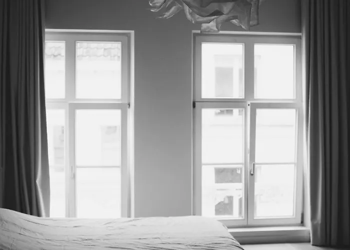 Design Met Zonnig Terras Bij Gravensteen * Gand